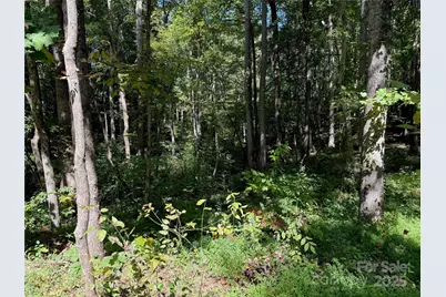 302 Didio Circle, Mooresville, NC 28115 - Photo 4