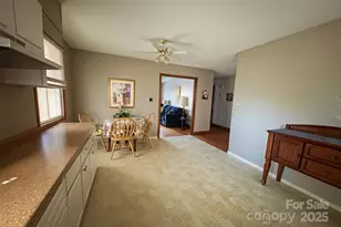 8 Donna Dr, Candler, NC 28715 - Photo 16