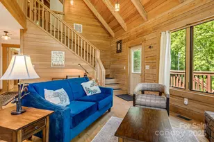 6018 Meadow Fork Rd, Hot Springs, NC 28743 - Photo 8