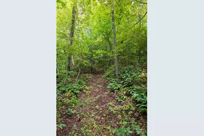 147 Dye Leaf Road, Fairview, NC 28730 - Photo 38