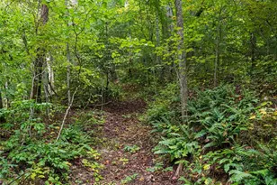 147 Dye Leaf Rd, Fairview, NC 28730 - Photo 38