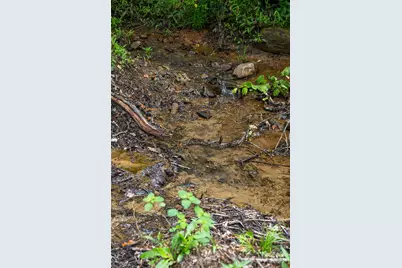 147 Dye Leaf Road, Fairview, NC 28730 - Photo 30