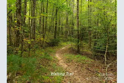 331 Thomas Road, Hendersonville, NC 28739 - Photo 48