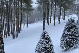 198 Little Harbour None, Vilas, NC 28692 - Photo 44