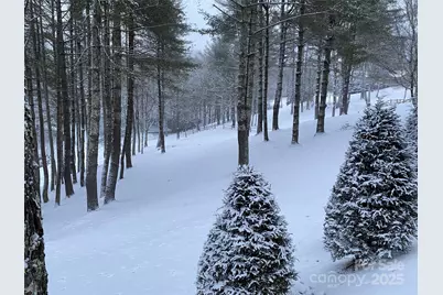 198 Little Harbour None, Vilas, NC 28692 - Photo 46