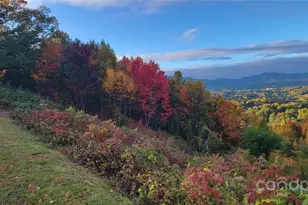 93 Lombard St, Waynesville, NC 28786 - Photo 44
