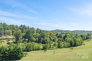 119 Big Sky Dr, Leicester, NC 28748 - Photo 32