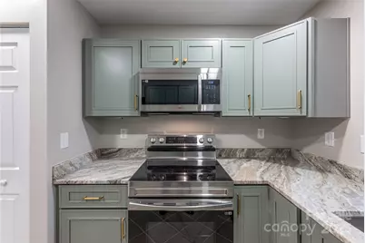 118 Rugby Forest Lane, Hendersonville, NC 28791 - Photo 32