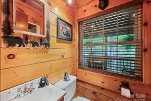 839 Wolf Laurel Dr, Maggie Valley, NC 28751 - Photo 30