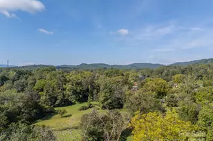 213 Calhoun St, Hendersonville, NC 28739 - Photo 30