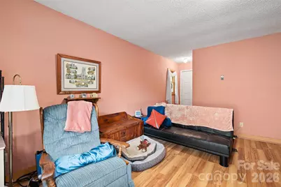 21 Gunter Drive, Waynesville, NC 28785 - Photo 24