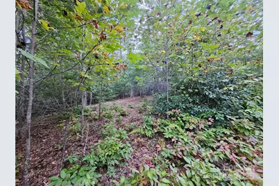000 Double Island Road, Green Mountain, NC 28740 - Photo 14