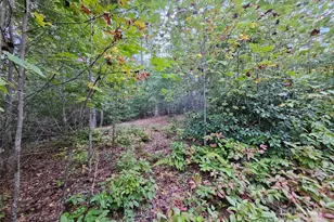 000 Double Island Rd, Green Mountain, NC 28740 - Photo 14