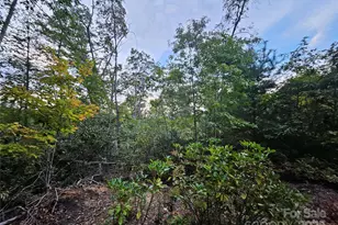 000 Double Island Rd, Green Mountain, NC 28740 - Photo 22