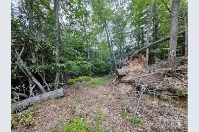 000 Double Island Road, Green Mountain, NC 28740 - Photo 8