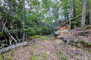 000 Double Island Rd, Green Mountain, NC 28740 - Photo 8