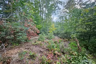 000 Double Island Rd, Green Mountain, NC 28740 - Photo 18