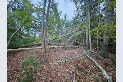 000 Double Island Road, Green Mountain, NC 28740 - Photo 26