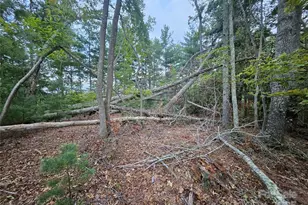 000 Double Island Rd, Green Mountain, NC 28740 - Photo 26