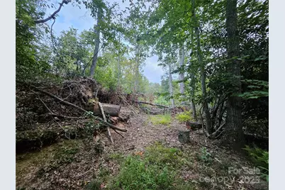 000 Double Island Road, Green Mountain, NC 28740 - Photo 10