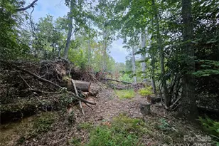 000 Double Island Rd, Green Mountain, NC 28740 - Photo 10