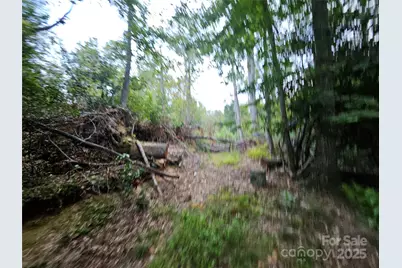 000 Double Island Road, Green Mountain, NC 28740 - Photo 6