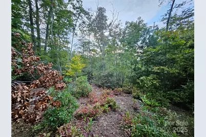 000 Double Island Road, Green Mountain, NC 28740 - Photo 20
