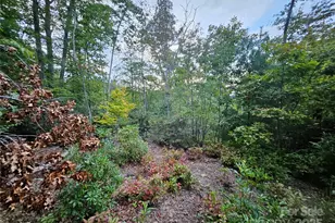 000 Double Island Rd, Green Mountain, NC 28740 - Photo 20