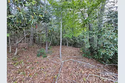 000 Double Island Road, Green Mountain, NC 28740 - Photo 24