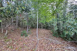 000 Double Island Rd, Green Mountain, NC 28740 - Photo 24