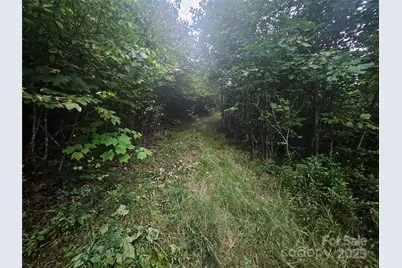 000 Double Island Road, Green Mountain, NC 28740 - Photo 4