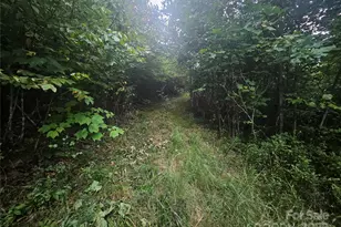 000 Double Island Rd, Green Mountain, NC 28740 - Photo 4