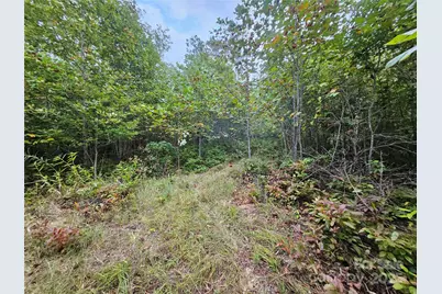 000 Double Island Road, Green Mountain, NC 28740 - Photo 12