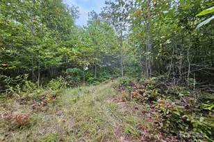 000 Double Island Rd, Green Mountain, NC 28740 - Photo 12