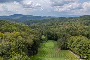 18 Wild Ivy Run, Hendersonville, NC 28739 - Photo 46