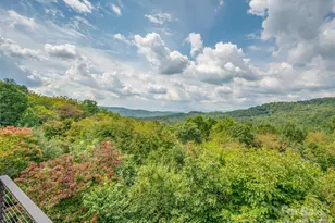 18 Wild Ivy Run, Hendersonville, NC 28739 - Photo 18