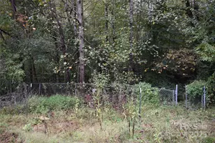 91 Myers Norton Dr, Old Fort, NC 28762 - Photo 44