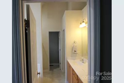 301 River Birch Circle, Mooresville, NC 28115 - Photo 22