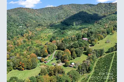 1992 Green Creek Road, Bakersville, NC 28705 - Photo 46