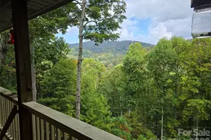 70 Double Back Ln, Mars Hill, NC 28754 - Photo 4