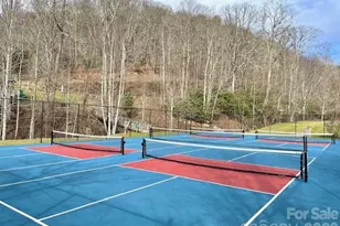 70 Double Back Ln, Mars Hill, NC 28754 - Photo 46