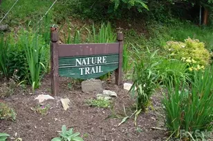 70 Double Back Ln, Mars Hill, NC 28754 - Photo 48