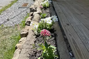 11 Martel Ln, Asheville, NC 28804 - Photo 22