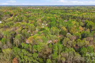 1210 Plum Branch Ln, Fort Mill, SC 29715 - Photo 44