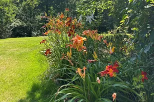 500 Turner Rd, Rutherfordton, NC 28139 - Photo 2