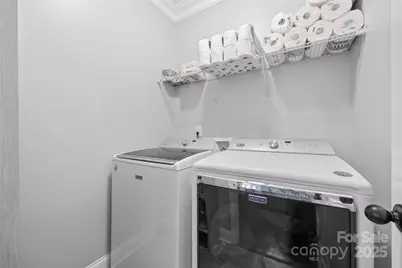 9619 Rayneridge Drive, Huntersville, NC 28078 - Photo 26