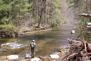 940 Winding Creek Rd, Sapphire, NC 28774 - Photo 46