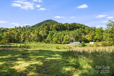 456 & 000 Maney Branch Road, Burnsville, NC 28714 - Photo 24