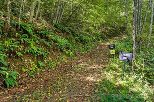 456 Maney Br Rd, Burnsville, NC 28714 - Photo 38