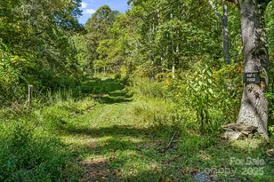 456 Maney Br Rd, Burnsville, NC 28714 - Photo 34